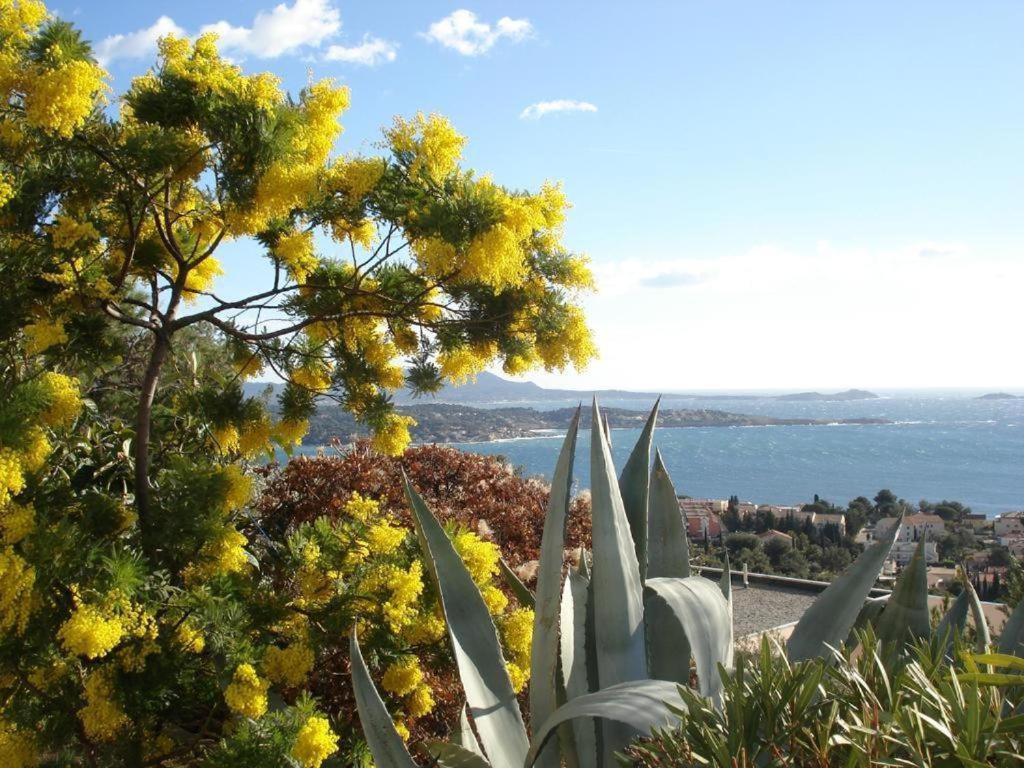 Studio Bandol Centre 2 Etoiles Ideal Emplacement 외부 사진